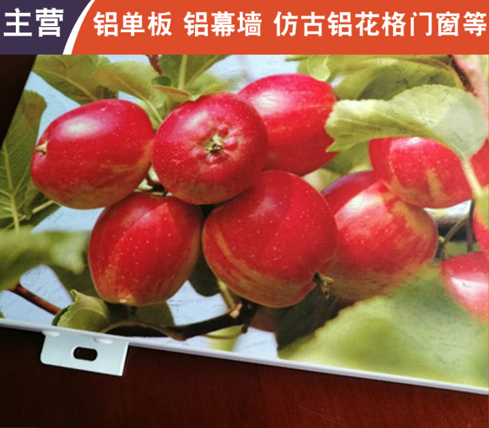 彩繪鋁單板